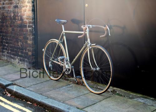Raleigh Record Ace ficha técnica y opiniones